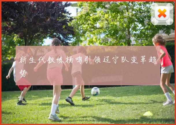 新生代教练杨鸣引领辽宁队变革趋势