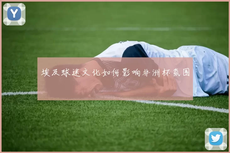 埃及球迷文化如何影响非洲杯氛围
