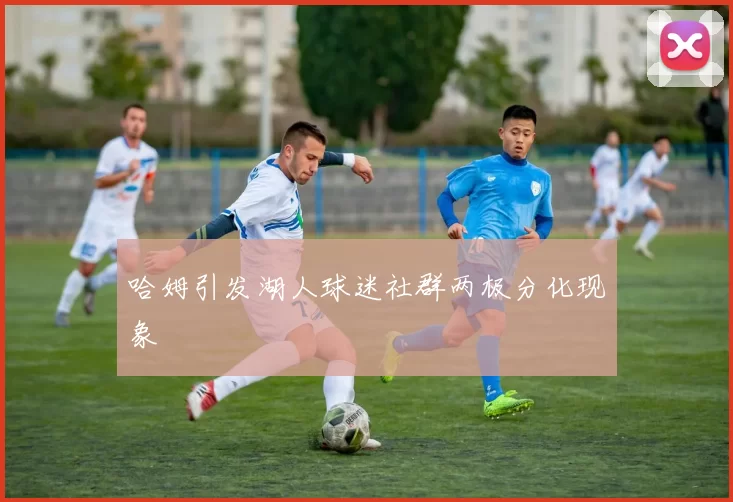 哈姆引发湖人球迷社群两极分化现象