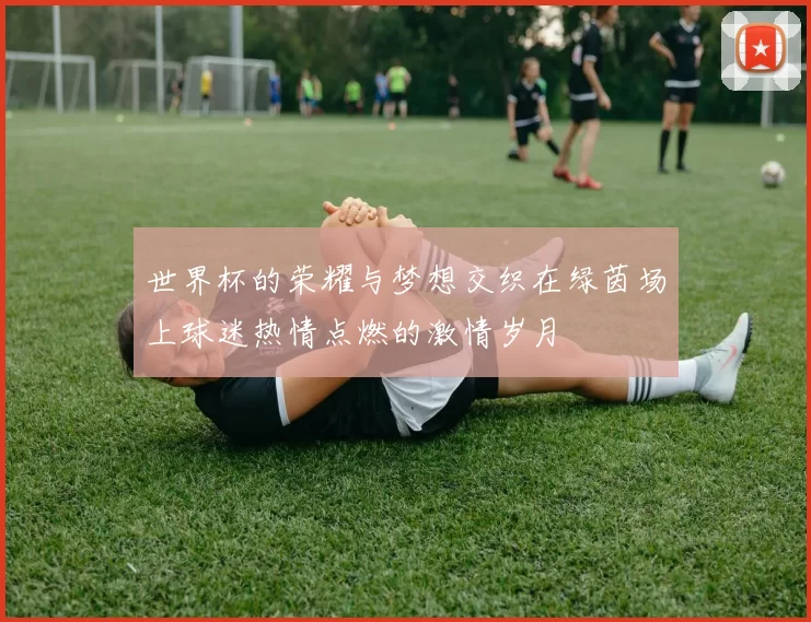 世界杯的荣耀与梦想交织在绿茵场上球迷热情点燃的激情岁月