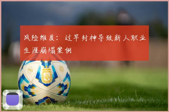 风险维度：过早封神导致新人职业生涯崩塌案例