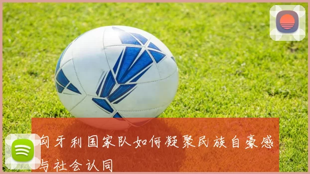 匈牙利国家队如何凝聚民族自豪感与社会认同
