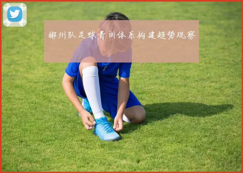 郴州队足球青训体系构建趋势观察
