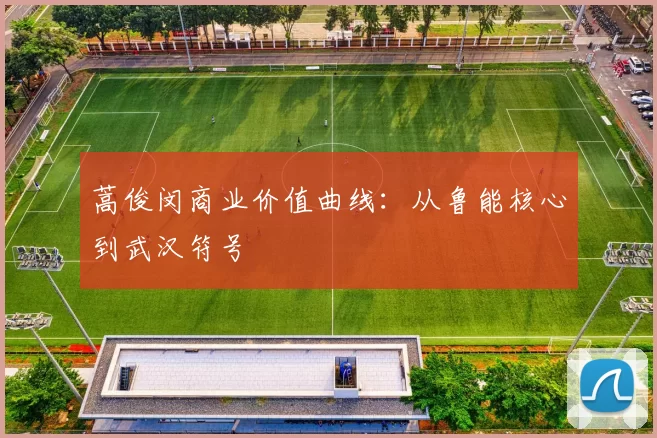 蒿俊闵商业价值曲线：从鲁能核心到武汉符号